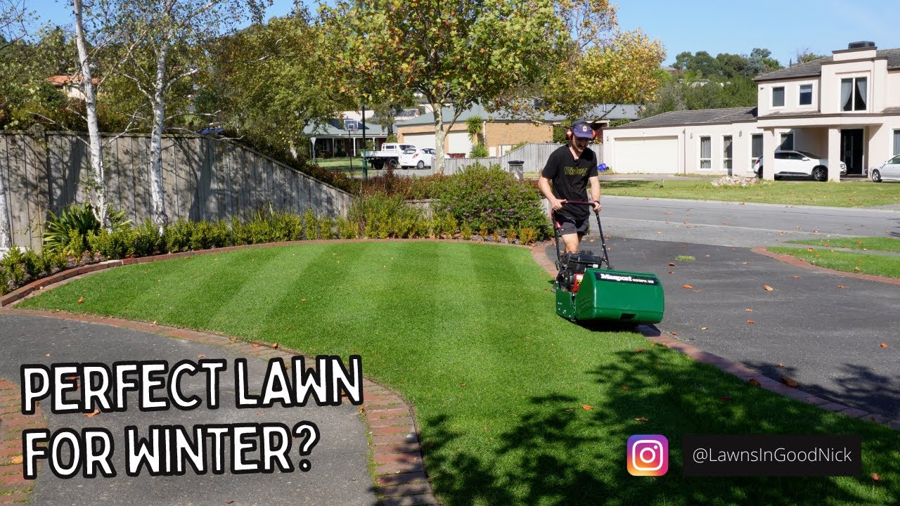 Winter lawn preparation // Lawn tips mix and Lonhro herbicide for onion