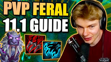 Feral Druid 11.2 PvP Guide | Talents, Rotation, Gear and More!