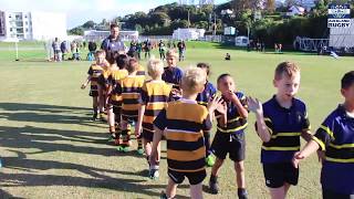 Junior Rugby At Eden Park 2017