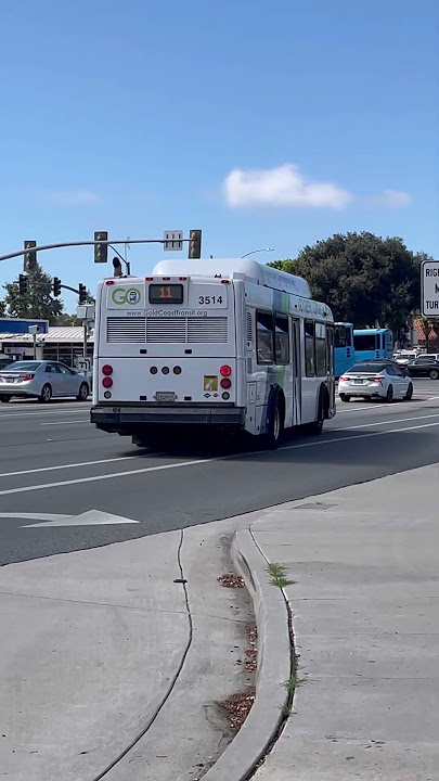 Gold Coast Transit District 2009 NABI 35-LFW CNG #3514 On Line 11