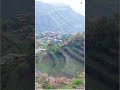ي لاقي الضايعه عبدالرحمن الحداد