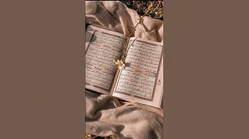 لحظات خشوع مع آيات من الذكر الحكيم🌼