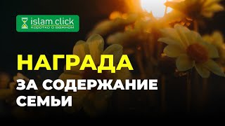 Награда за содержание жены | Абу Яхья Крымский #Shorts