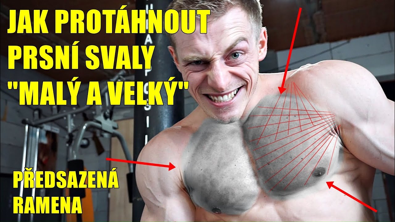 Jak protáhnout PRSA / HRUDNÍK | Správná pozice ramen | PROTAŽENÍ | Díl 8