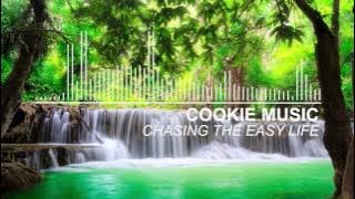 Cookie Music - Chasing The Easy Life