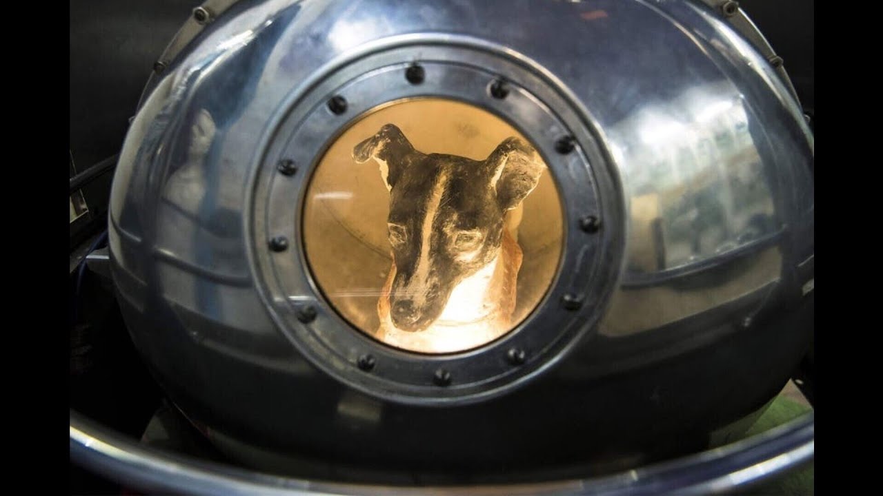 OnAxis & Hipcut***For Laika