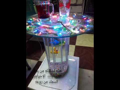 تشكيلة صور لبعض أحواض السمك الزينه من روعه ولمسه للديكورات