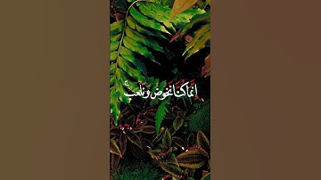 يحذر المنافقون أن تنزل عليهم سورة ...️ ياسر الدوسري