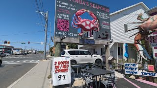 Ocean City Maryland May 2024 Steamed Crab Prices