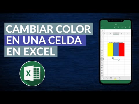 Cómo Poner o Cambiar el Color en una Celda Según el Texto en Excel - Formato condicional Excel