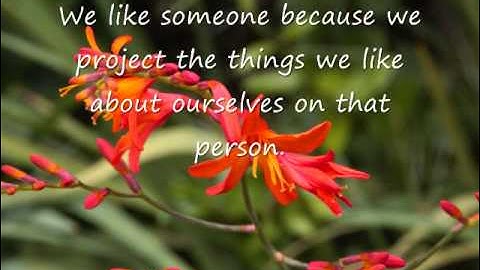 Perception is Projection