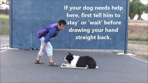 Introduction to Teaching Signals for Utility