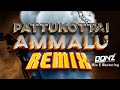 Dj donz  pattukottai ammalu remix  2023 tik toktrending hitz