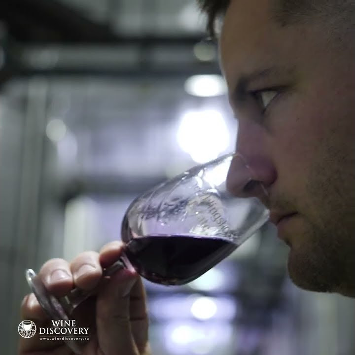 Дитя Африки: Пинотаж. Полная версия на канале Wine Discovery. #Pinotage ...
