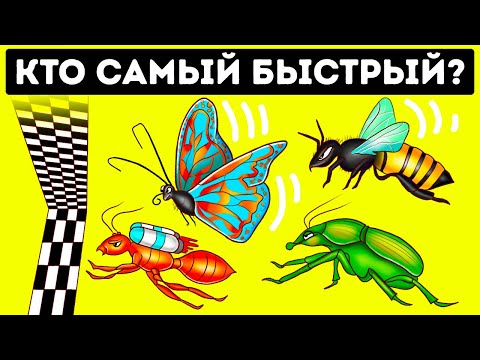 Видео: Минохвъргачки. Реактивен. Старт