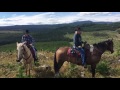 Virginians with Wild Horses in Alberta, Canada
