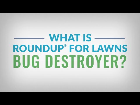 How to Kill Insects Above & Below Ground With Roundup For Lawns Bug Destroyer