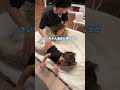 ベイビーレスキュー(診療) #shorts #ベイビーレスキュー