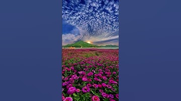 و دانية عليهم ظلالها و ذللت قطوفها تذليلا .. صدق الله العظيم #إذاعة_القرآن_الكريم #سورة الانسان