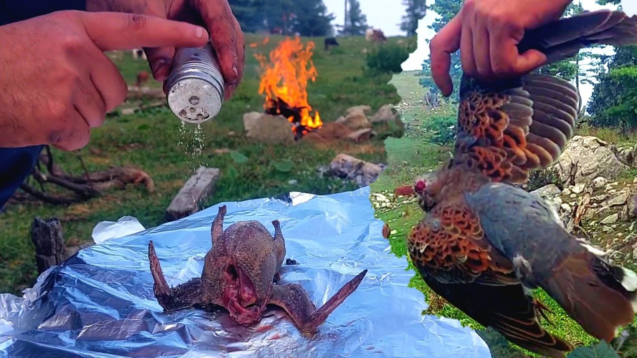 Underground cooking wild dove || Dove Underground cooking in Aluminum foil paper ASMR  Cooking 