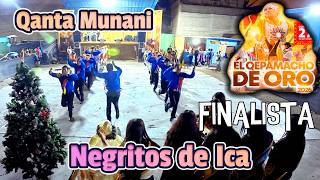 Final Negritos De Ica - Qanta Munani Quepamacho De Oro 2026 Maqta Sinchi
