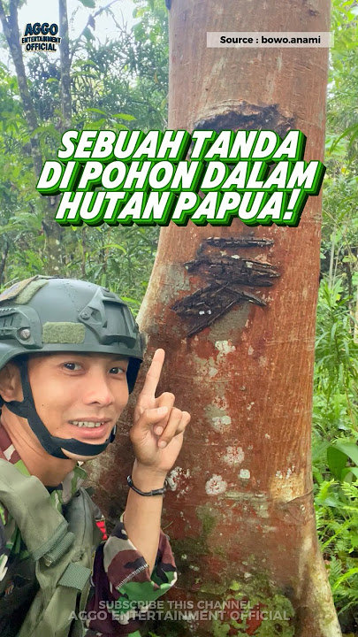SIGNS IN THE PAPUA FOREST! #shorts #tni #ytshorts