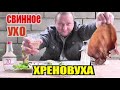 Пью Хреновуху под свиное ухо...