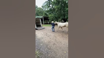 Jasmine loading onto float