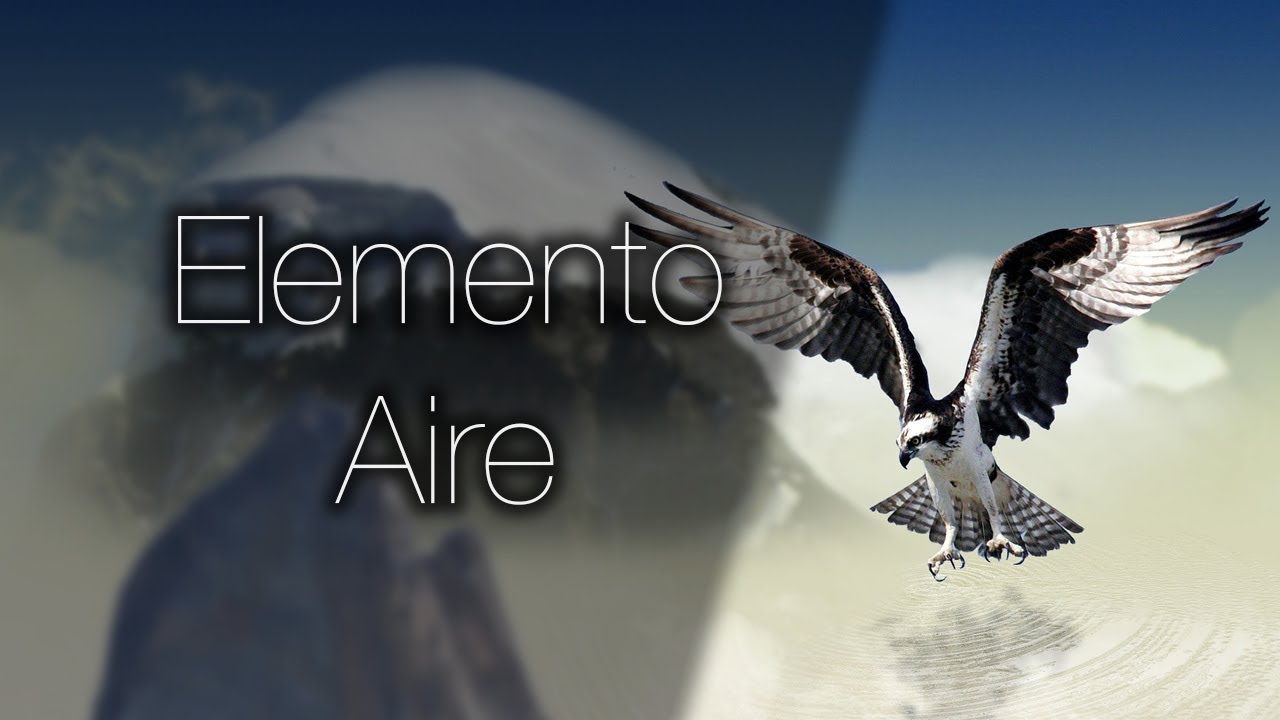 Libertad y Amor: Vive el elemento Aire