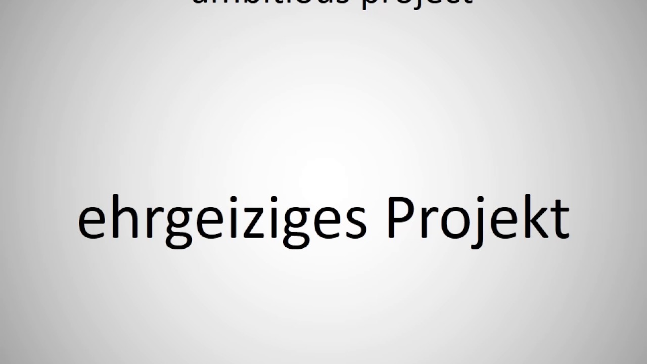 How to say ambitious project in German?