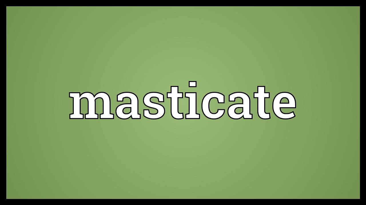 Masticate Meaning YouTube