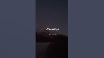 تلاوة خاشعة//الشيخ وليد السعيدان