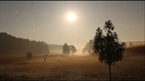 ما أجملها تلاوه ترق لها القلوب لاتوصف | عبد الرحمـن العمـري