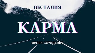 Ключ к работе с кармой #Весталия #карма #школаСорадение