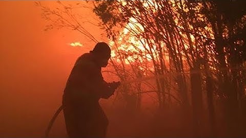 B.C. man volunteers to fight wildfire in hometown