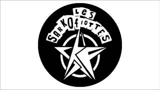 Video thumbnail of "Les Sarkofiottes - Résistance"