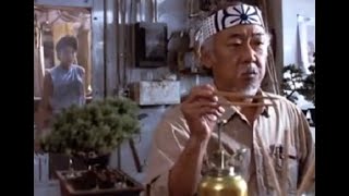 Koi Feeding Mr. Miyagi