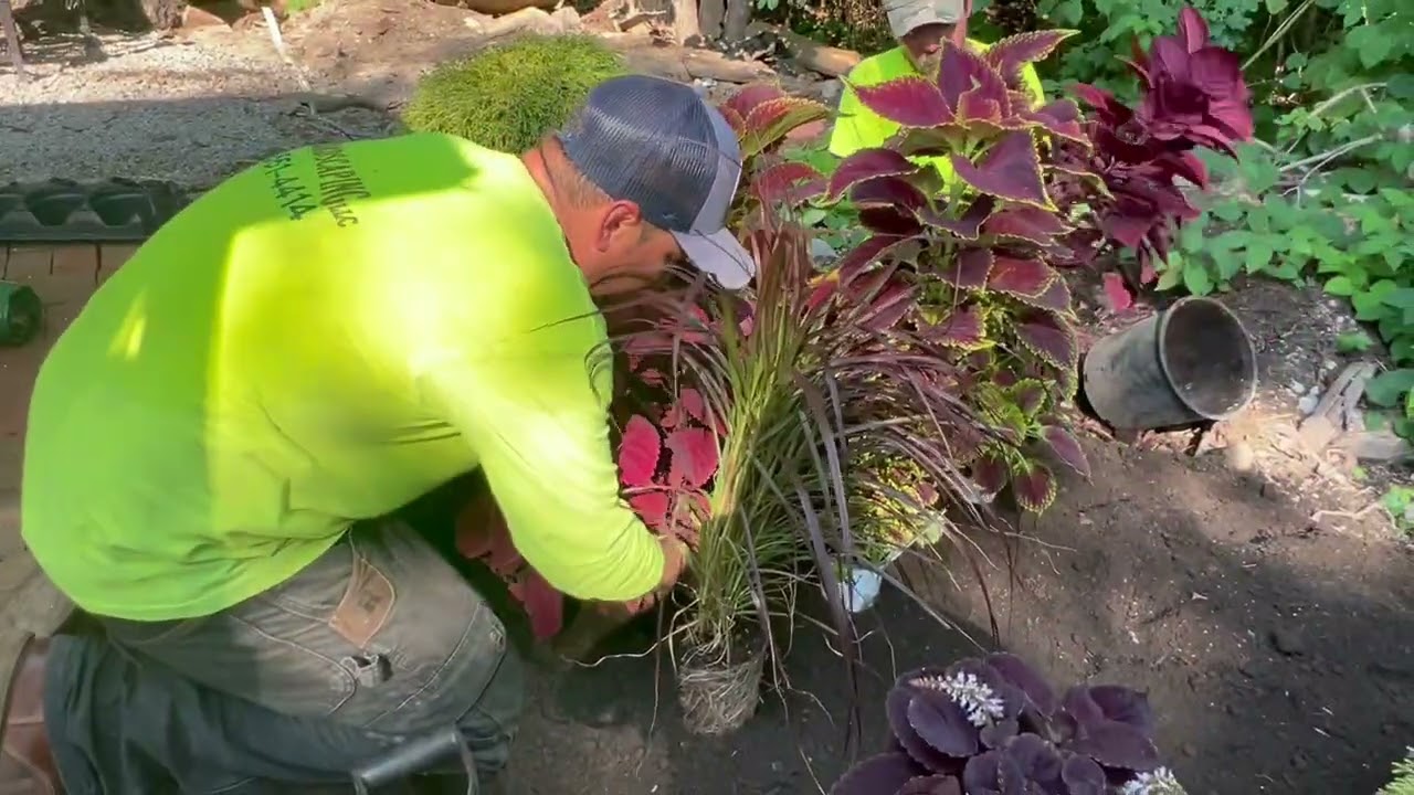 Embecelle las áreas Olvidadas de tu patio. Privacidad, que elegir. EvedLogo3420