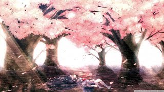 Nightcore - Collateral Damage