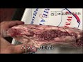 横隔膜　ハラミ　焼肉　内臓　西日本畜産　国産