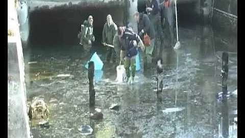 Come fare la licenza di pesca Fvg?