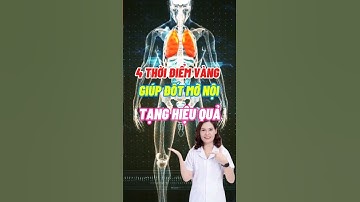 4 Thời Điểm Vàng Giúp Đốt Mỡ Nội Tạng Hiệu Quả #dsdaiminh #shorts #health