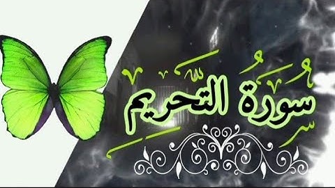 SURAH AL TAHREM  سورة التحريم القارئ فضيلة الشيخ /طارق بن محمد