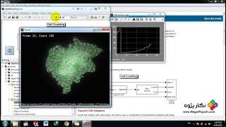Cell Counting - MATLAB-Simulink