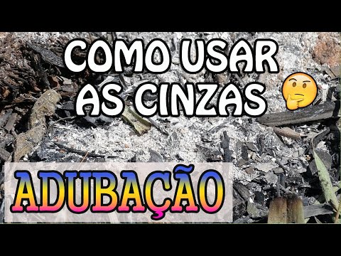 Vídeo: Cinzas Domésticas - Como Usar?