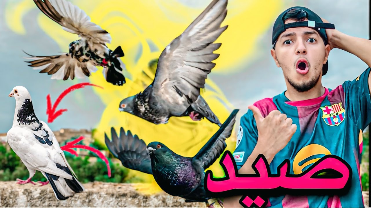 تجربة صيد حمامة 🏹 طلقت الحمام يطيرو وجبو انتى الحمام 😂