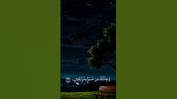﴿سورة سبأ﴾ #قران_كريم #المصحف #اكسبلور #لايك