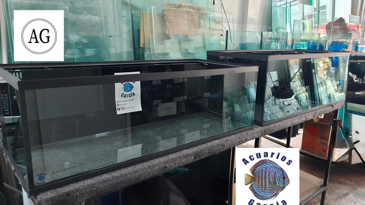 Peceras con backsump de calidad 