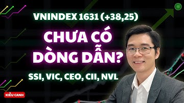 VNINDEX Hồi Phục Nhưng Thiếu Dòng Dẫn Dắt | Top 10 Cổ Phiếu Tiềm Năng Nhất