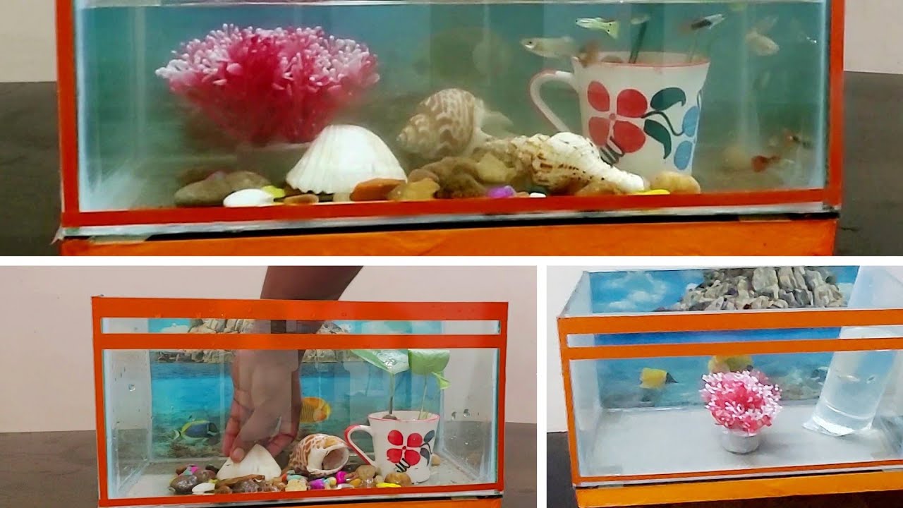 Small Aquarium set up YouTube
